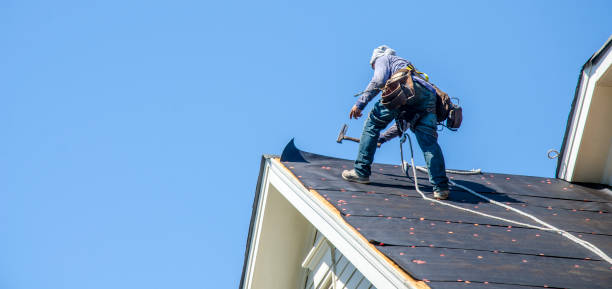 Roof Gutter Cleaning in Seabrook Island, SC